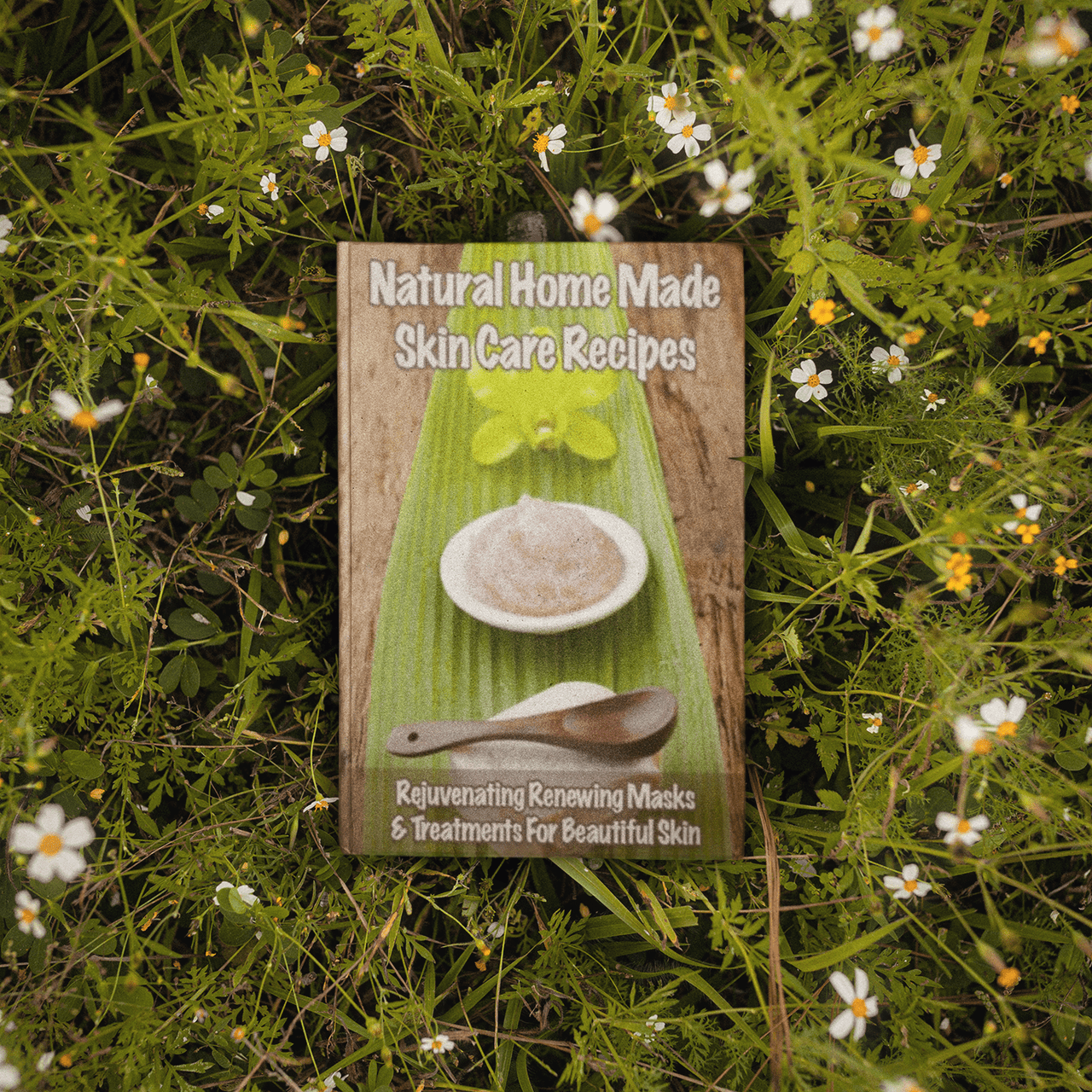 Homemade Natural Skin Care Recipes Book